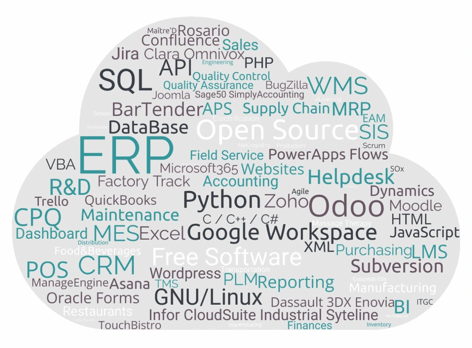Expertise wordcloud word cloud IT expertise Holistinformatics